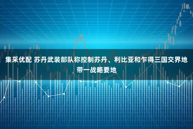 集采优配 苏丹武装部队称控制苏丹、利比亚和乍得三国交界地带一战略要地