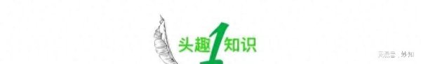 牛领策略 “上海宝妈抱怨怀孕真累”引全网群嘲：活着，一定要远离有毒的人