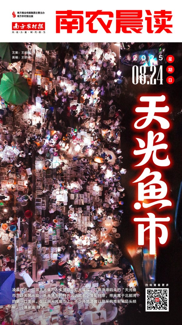 创同配资 南农晨读 | 天光鱼市