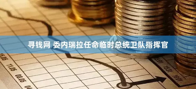 寻钱网 委内瑞拉任命临时总统卫队指挥官