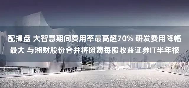 配操盘 大智慧期间费用率最高超70% 研发费用降幅最大 与湘财股份合并将摊薄每股收益证券IT半年报