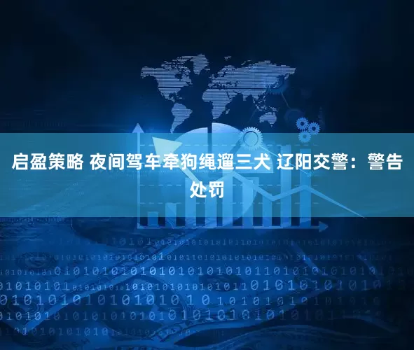 启盈策略 夜间驾车牵狗绳遛三犬 辽阳交警：警告处罚