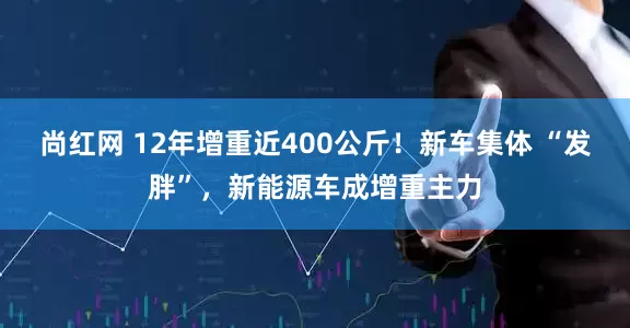 尚红网 12年增重近400公斤！新车集体 “发胖”，新能源车成增重主力